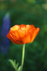 Similar image 8539209