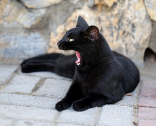 Similar image 8539218