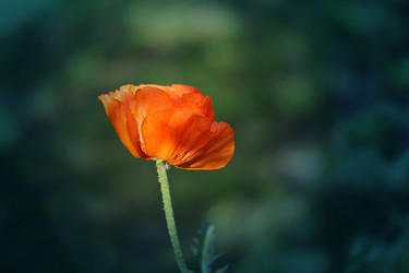 Similar image 8539219