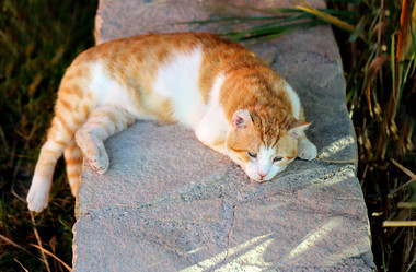 Similar image 8539239