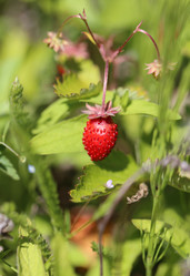 Similar image 8539259