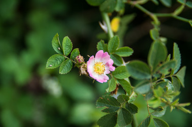 Similar image 8539908