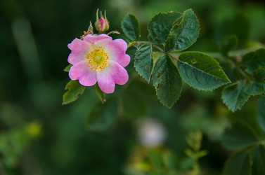 Similar image 8539915