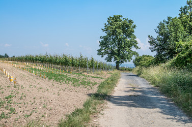 Similar image 8539950