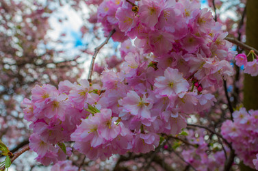 Similar image 8539960