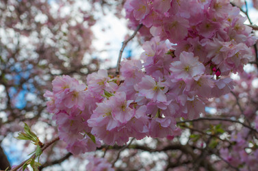 Similar image 8539961