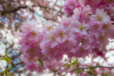 Similar image 8539962