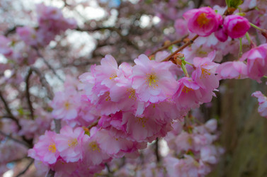 Similar image 8540024