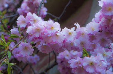 Similar image 8540025