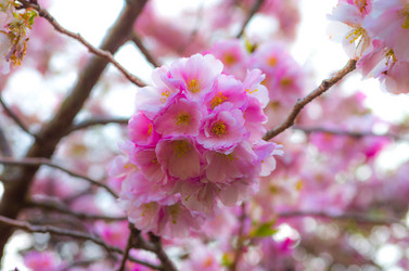 Similar image 8540026