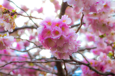 Similar image 8540027