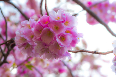 Similar image 8540028