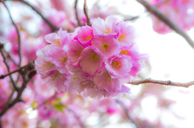 Similar image 8540029