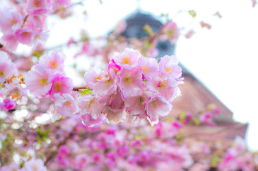 Similar image 8540030