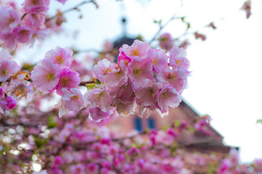 Similar image 8540031