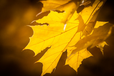 Similar image 8541455