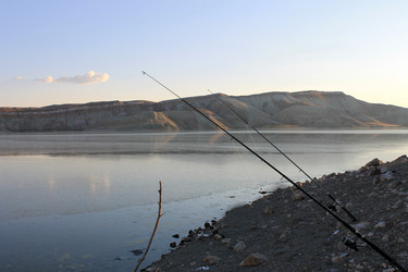 Similar image 8541491