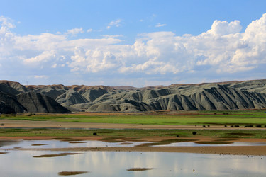 Similar image 8541552