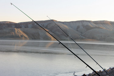 Similar image 8541554