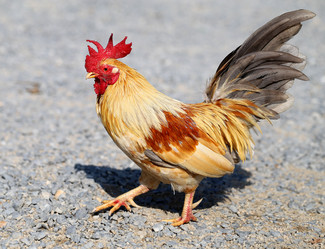 Similar image 8541637