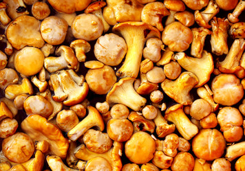 Similar image 8541639