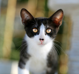 Similar image 8541640