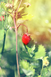 Similar image 8541641