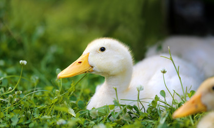 Similar image 8541642