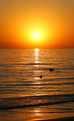 Similar image 8541668