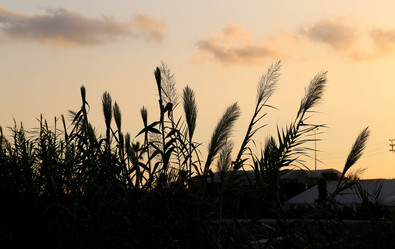 Similar image 8541671