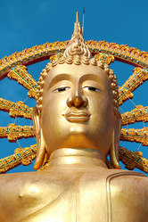 Similar image 8541673