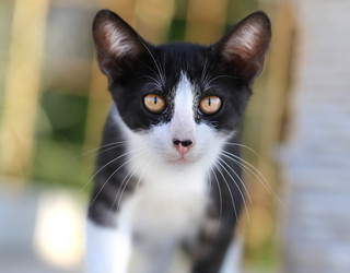 Similar image 8541679