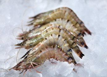 Similar image 8541680