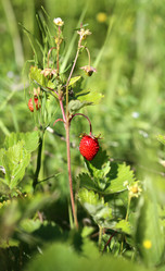 Similar image 8541681