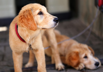 Similar image 8541685