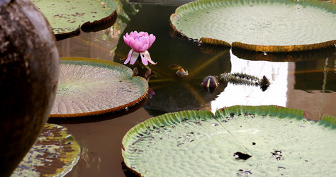 Similar image 8541690