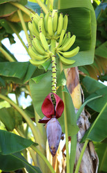 Similar image 8541710