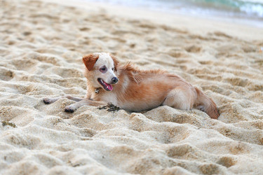 Similar image 8541713