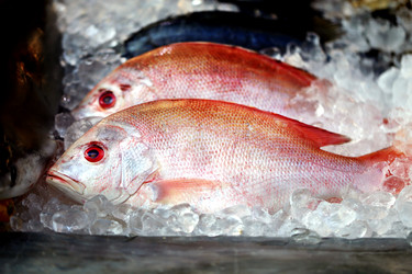 Similar image 8541731