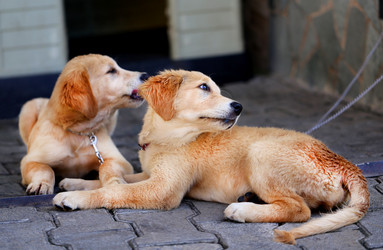 Similar image 8541749