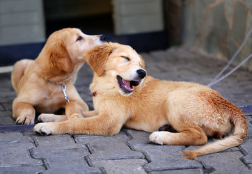 Similar image 8541752