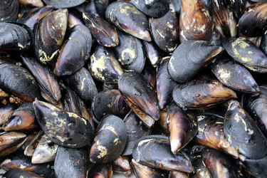 Similar image 8541820