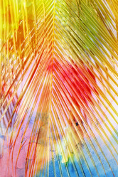 Similar image 8541829