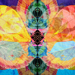 Similar image 8541846