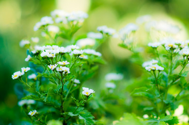 Similar image 8541904