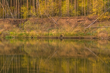 Similar image 8542319