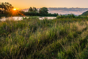 Similar image 8542321