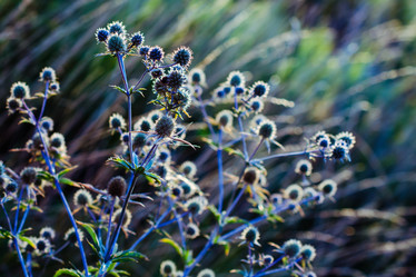 Similar image 8542322