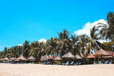 Similar image 8543026