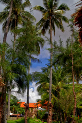 Similar image 8543030